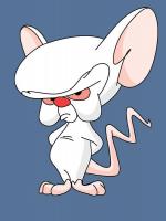 QPR meet an old refereeing foe once more in Blackburn cup tie